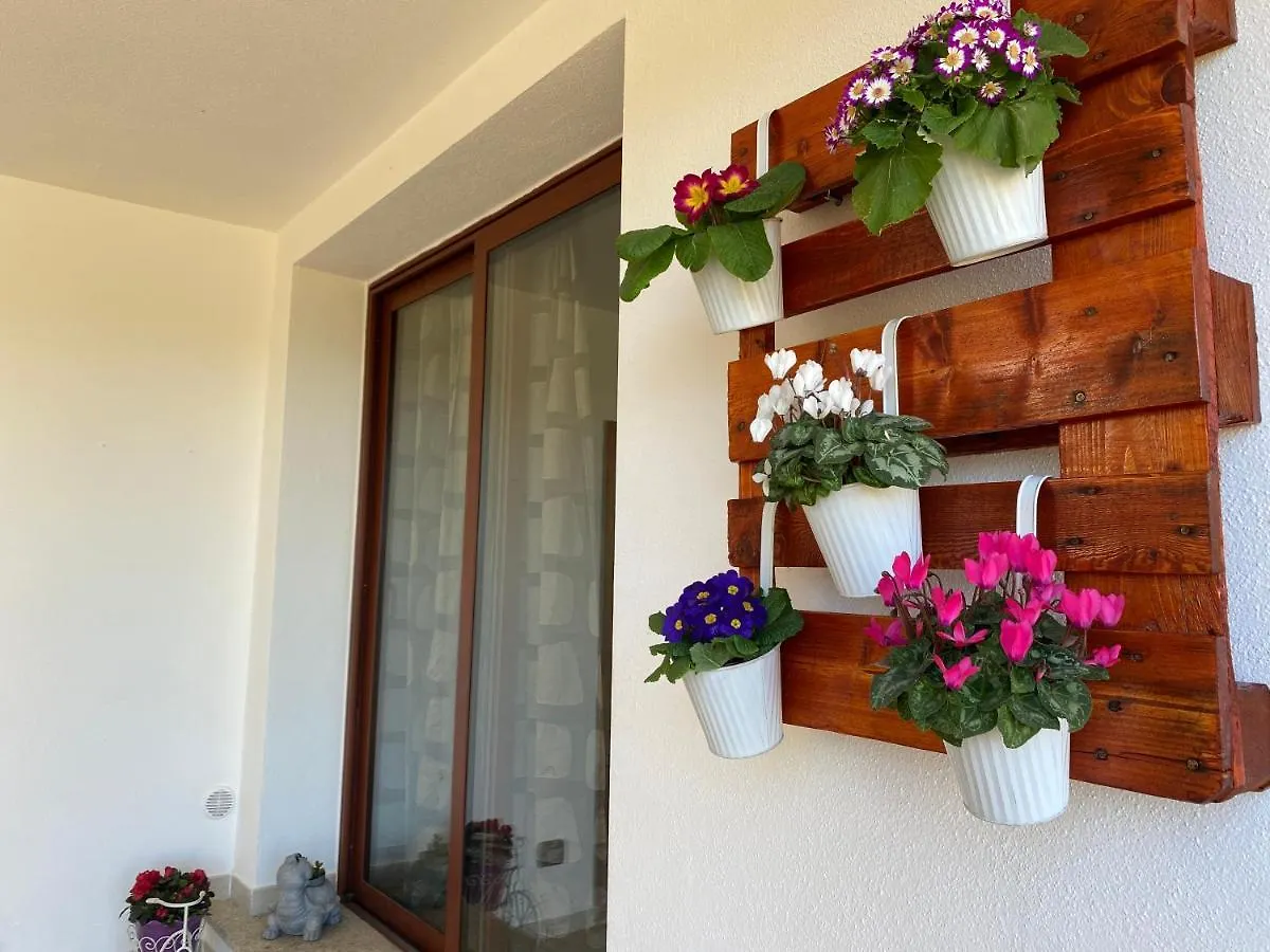 Casa vacanze Villa Casa MIRTÒ Olbia
